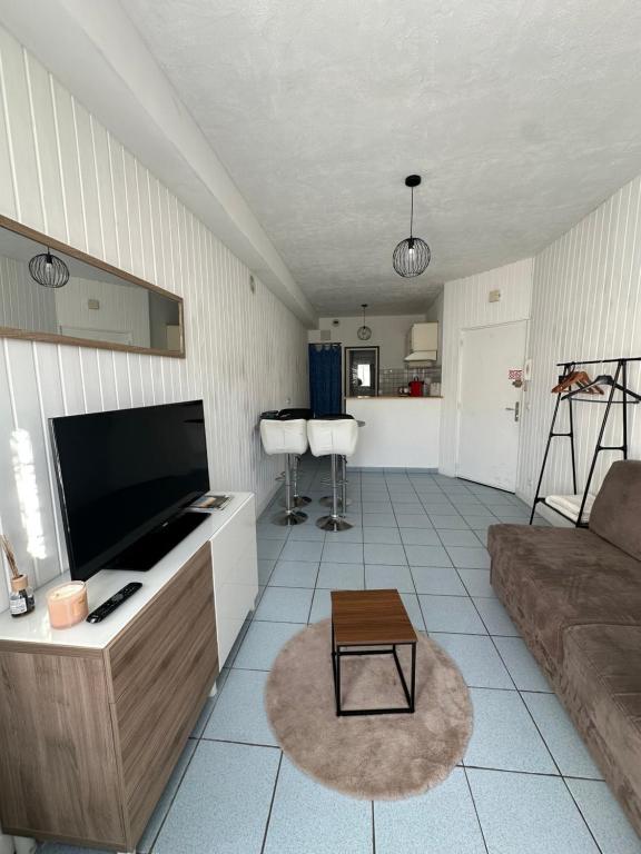 ein Wohnzimmer mit Flachbildfernseher und Couch in der Unterkunft Le petit studio Rue de l'Imprimerie in Gap
