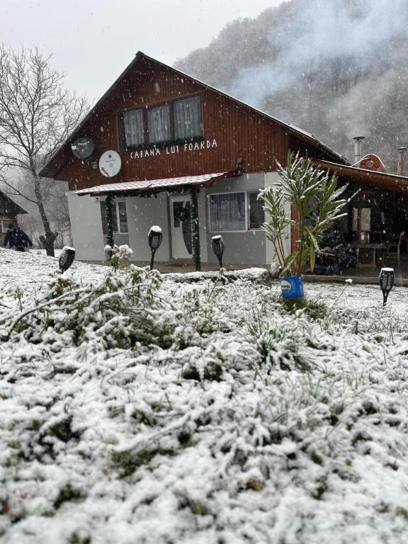 Cabana lui Foardă om vinteren
