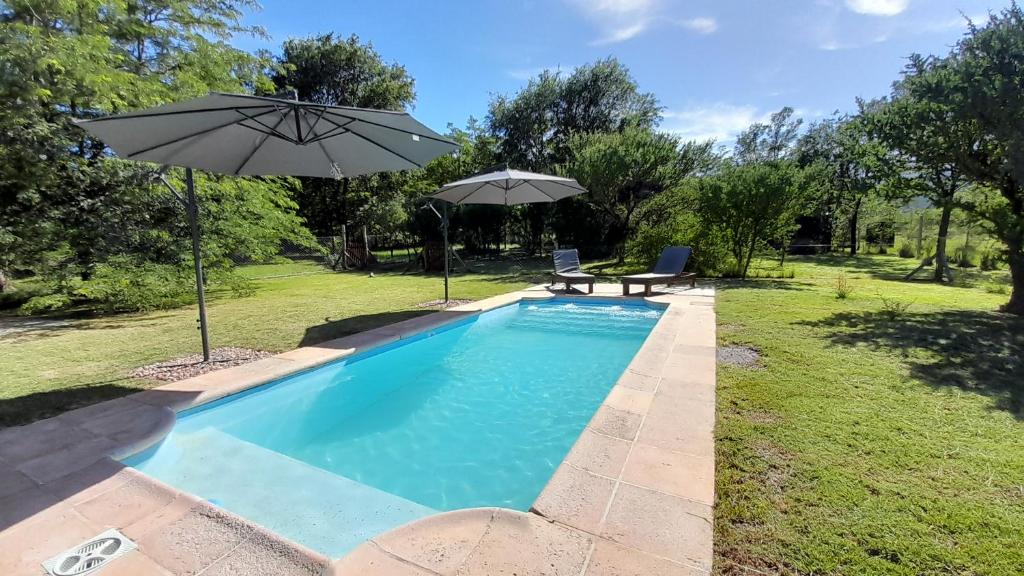 Swimmingpoolen hos eller tæt på Mahatma Villa Giardino