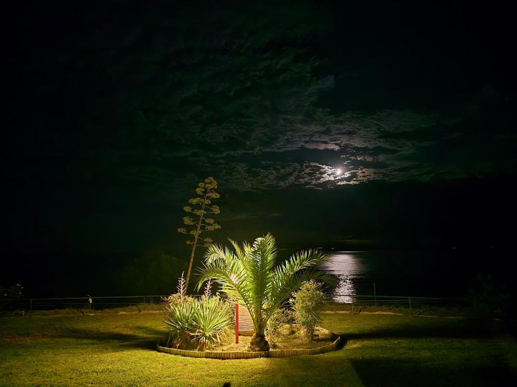 En have udenfor Aegean View Smart Living Suite