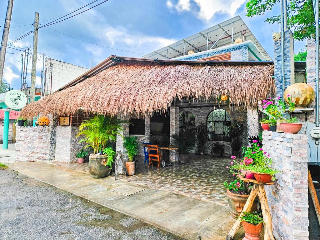 een klein huisje met een rieten dak en planten bij Hotel Vias Maya Bacalar in Bacalar
