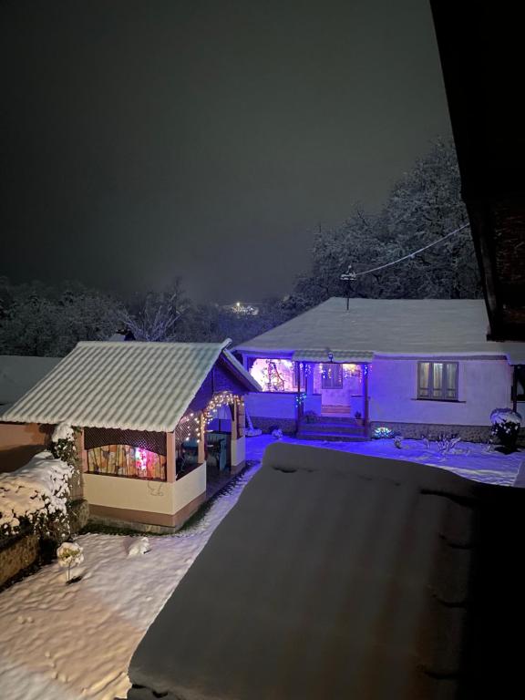 Casa Putna om vinteren