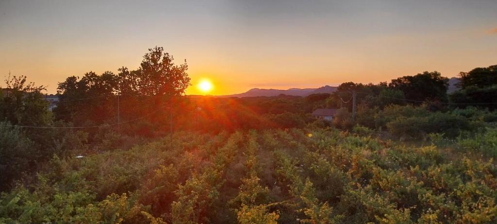 Isola Natura Farm Retreat Sardinia