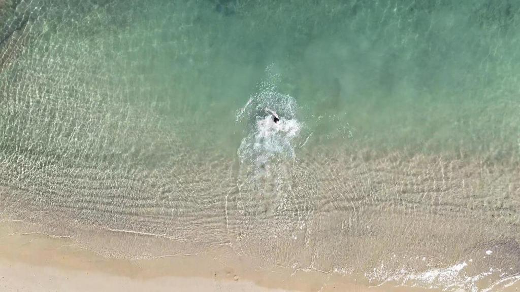 a polar bear swimming in the water at the beach at Z-Villas Beach Hotel in Turunc
