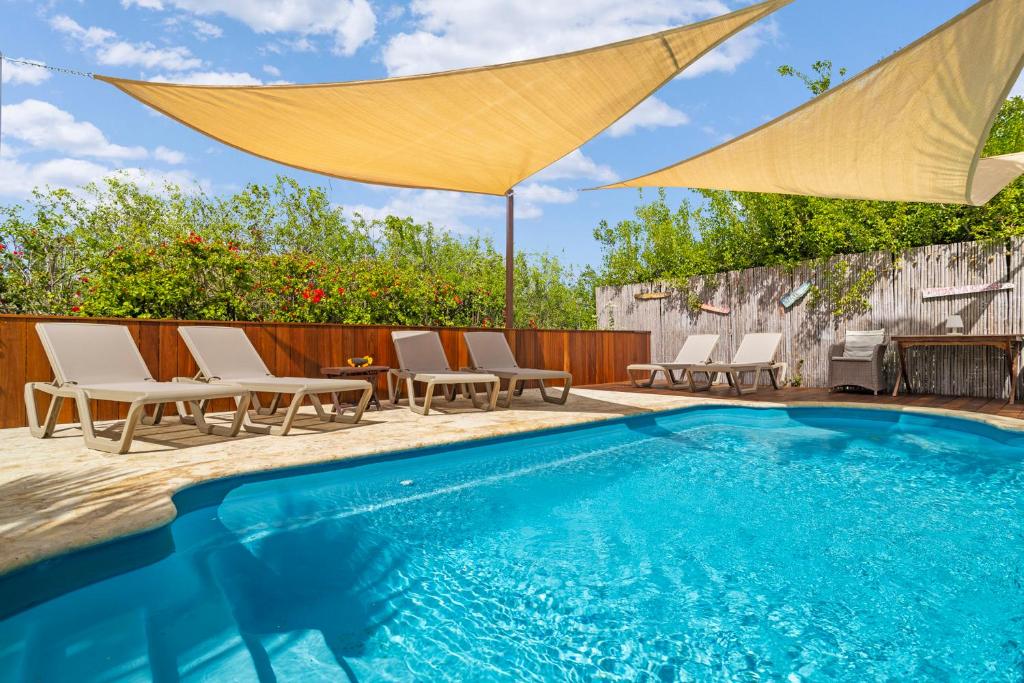 a pool with chairs and umbrellas on a patio at Maravia Bonaire in Kralendijk