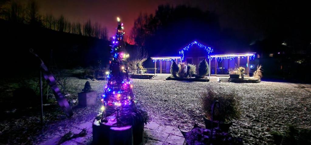 un albero di Natale davanti a una casa con le luci di Apartamenty w Dolinie Gościna a Duszniki Zdrój