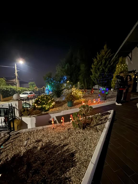 a garden decorated with christmas lights at night at Studio LEIRIA Side in Leiria