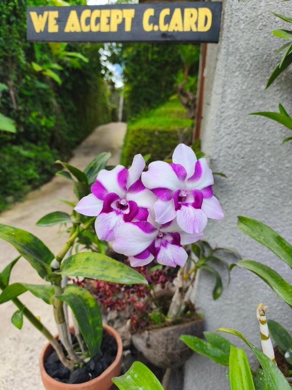 Manuk Dewata Villa - 6