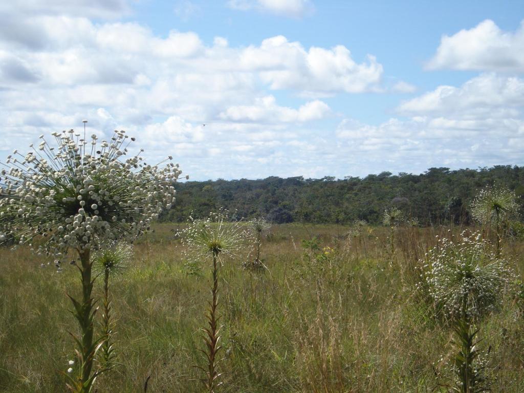  Pousada Jardim da Chapada