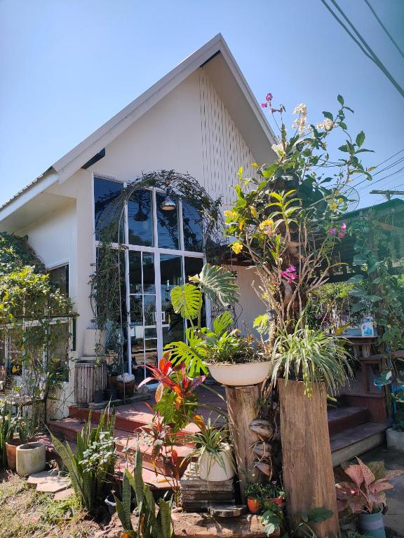 a house with a bunch of plants in front of it at Banyai Pool Villa Chiang Khan in Loei