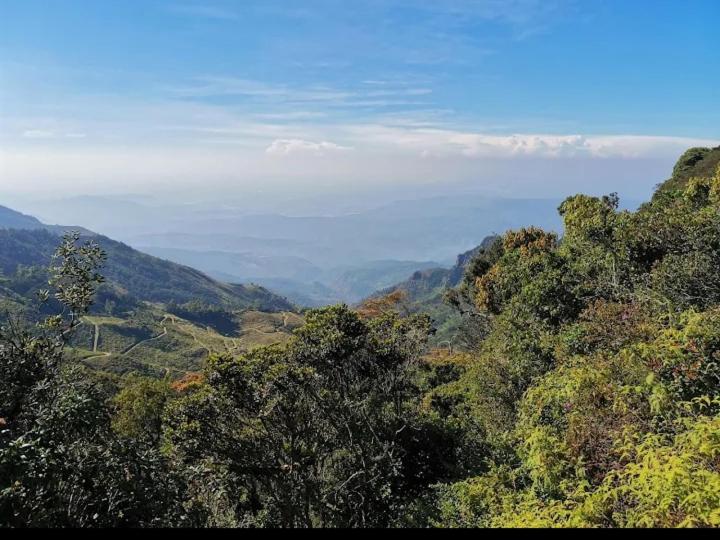 Naturlandskabet i nærheden af lodgen