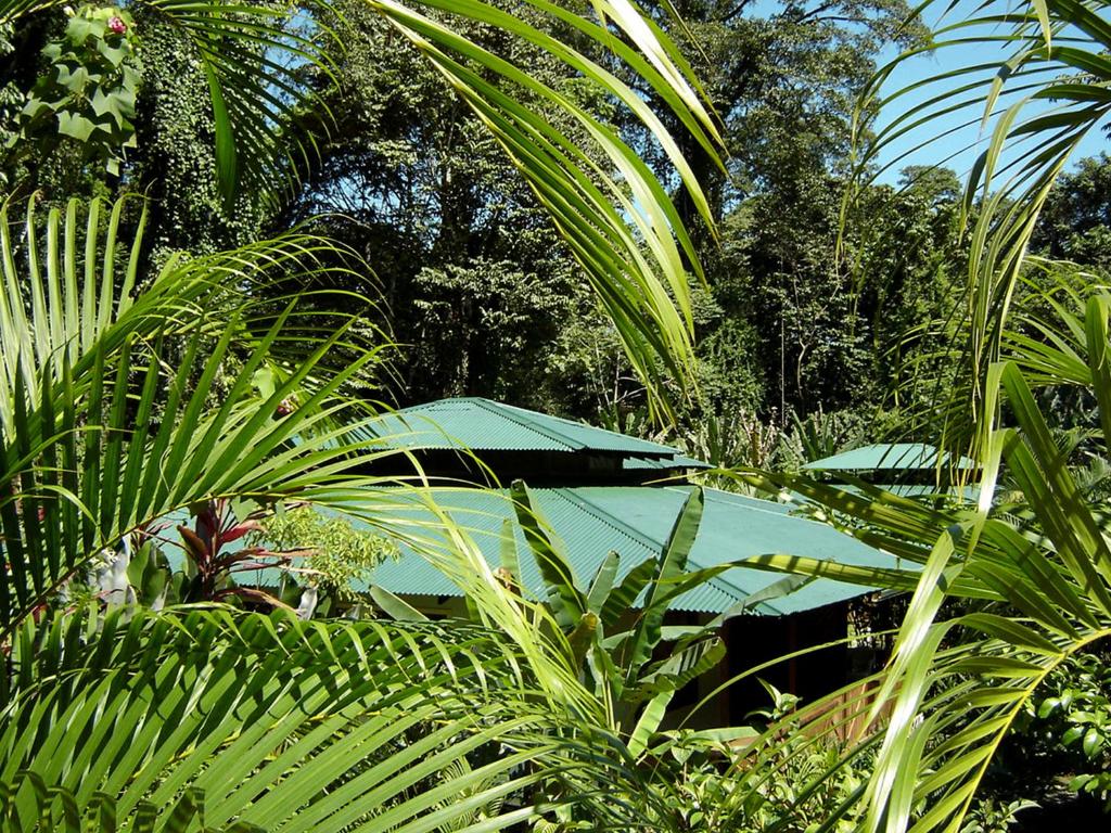 Zahrada ubytování El Colibri Lodge