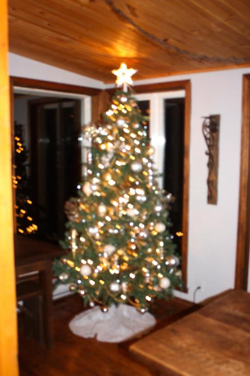 een kerstboom in een woonkamer met bij Chalets et Studios Le Vent Du Nord in Lac-Superieur