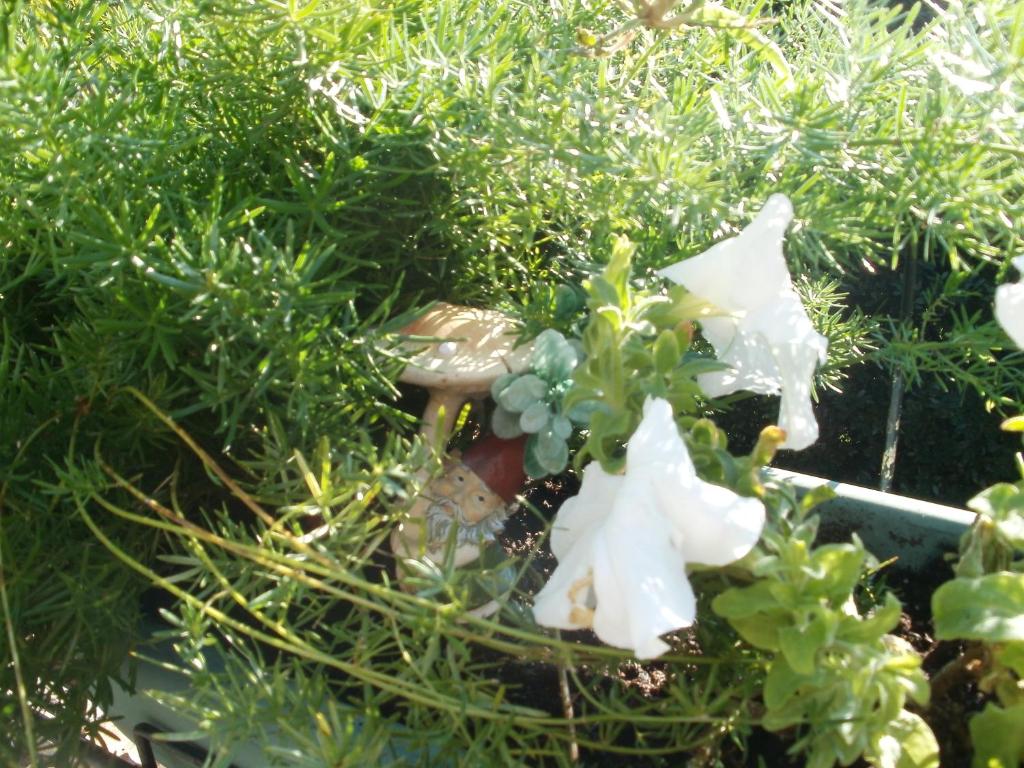 Studio Apartments Fancy - 15