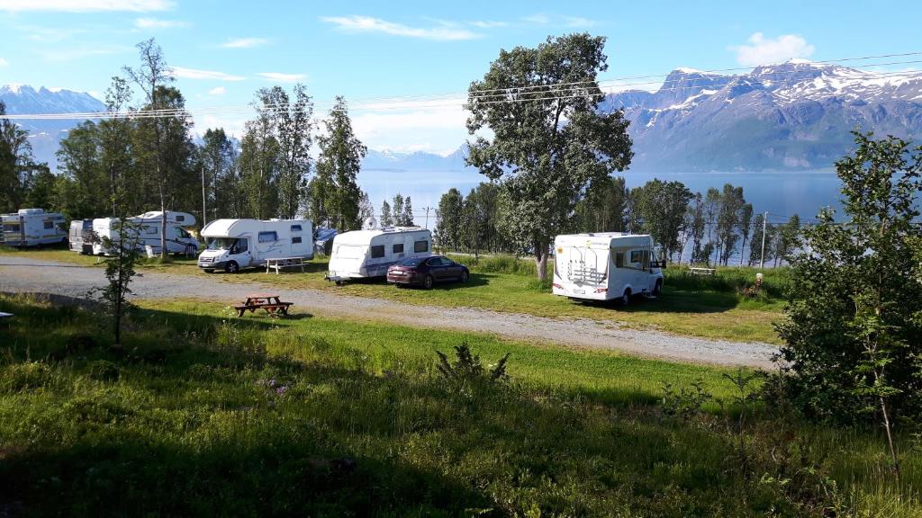 a group of rvs parked in a field with mountains in the background at Svensby Tursenter in Svensby