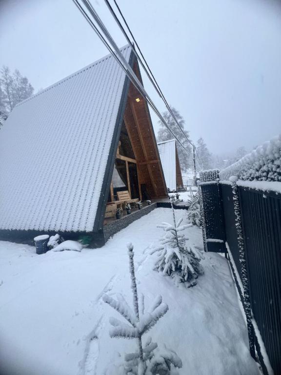 een met sneeuw bedekt huis met een dennenboom ervoor bij Amurg in Lupeni