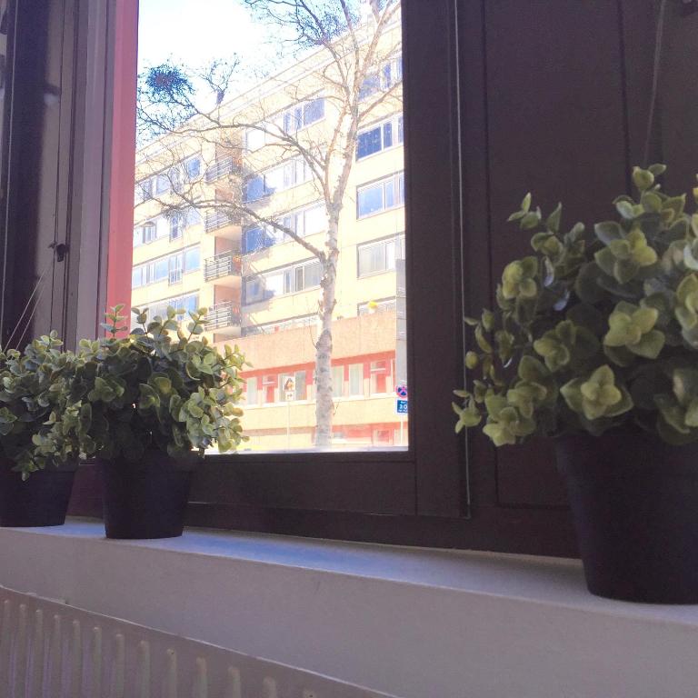 Fotografie z fotogalerie ubytování Linné Hostel v destinaci Gothenburg