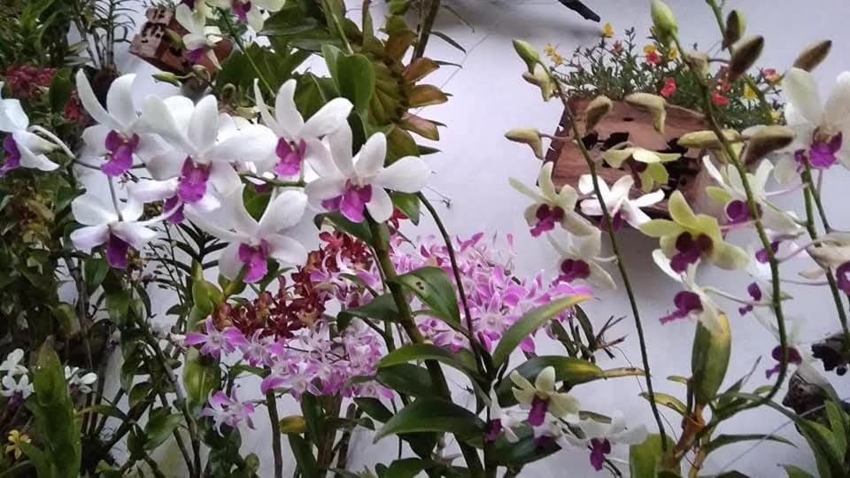 Manuk Dewata Villa - 2