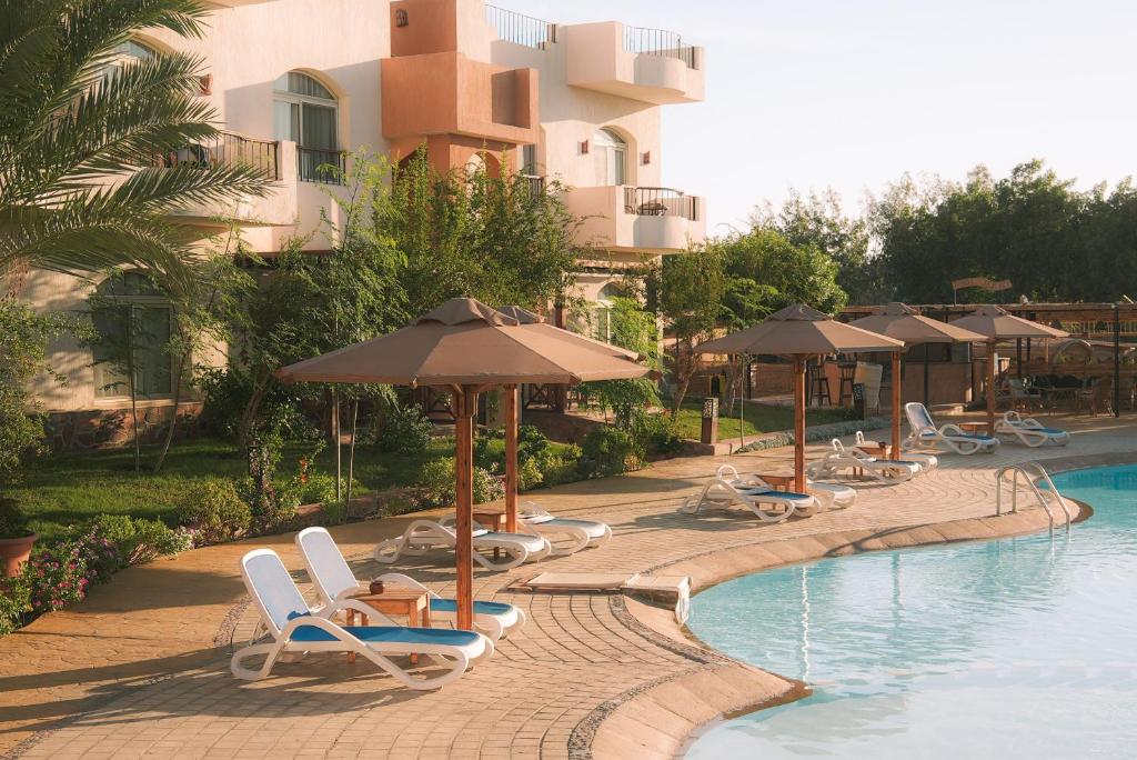 a resort with chairs and umbrellas next to a swimming pool at Sheikh Ali Dahab Resort in Dahab