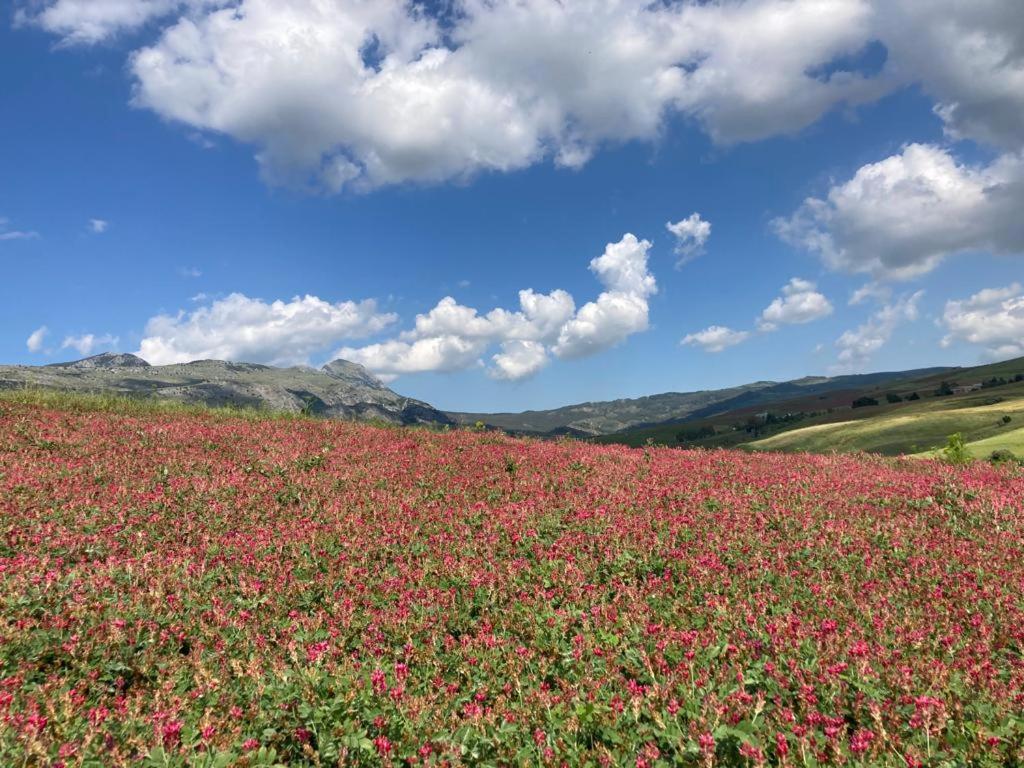 Naturlandskabet i nærheden af hotellet