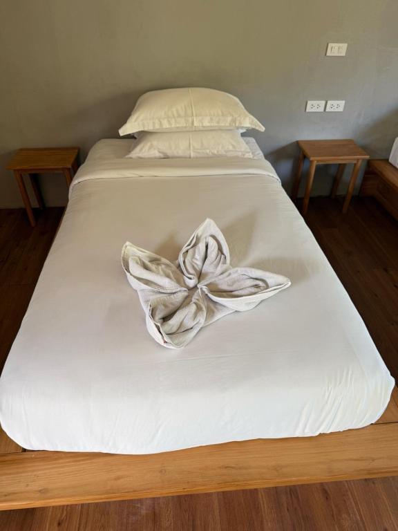 The Liveliwoods - 15