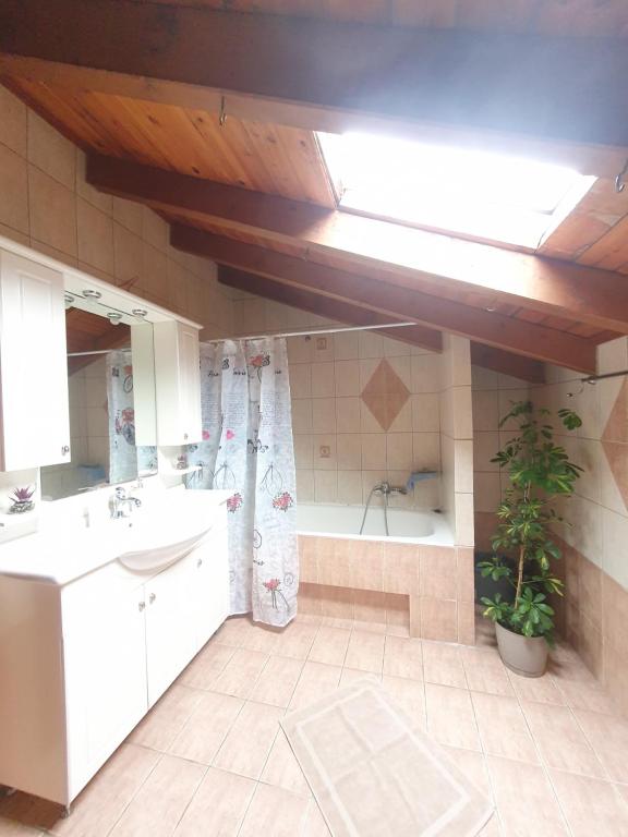 Et badeværelse på Konitsa Horizon Villa