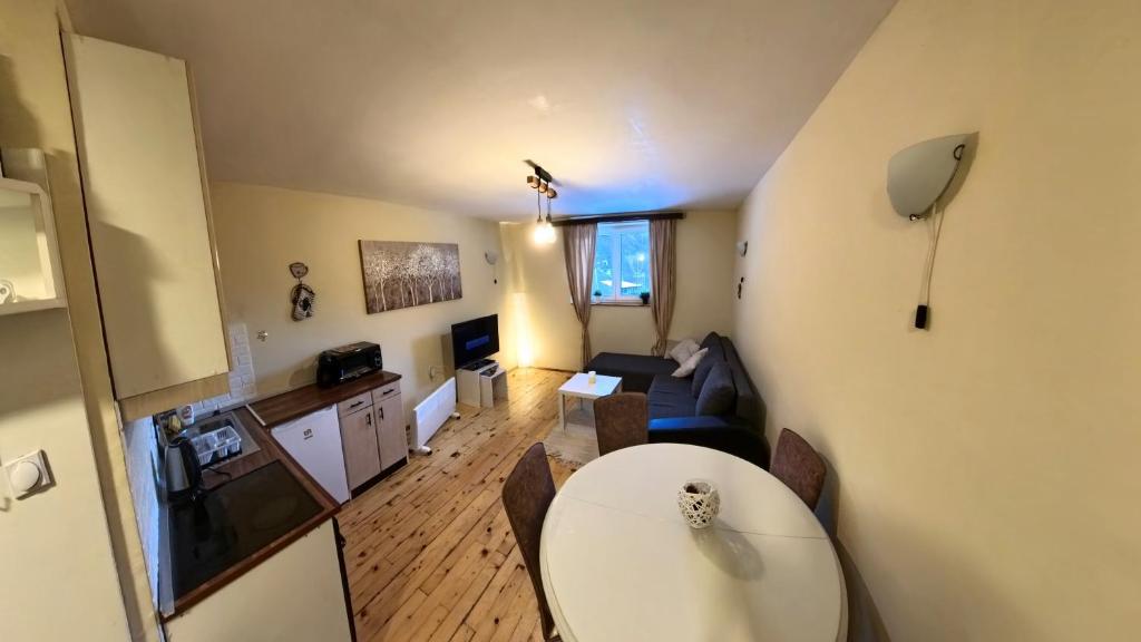 TV/trung tâm giải trí tại Ski-in & Ski-out, Apartman Filip - 30m from GONDOLA Brzeće