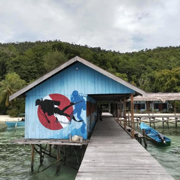 Naturlandskabet i nærheden af pensionatet