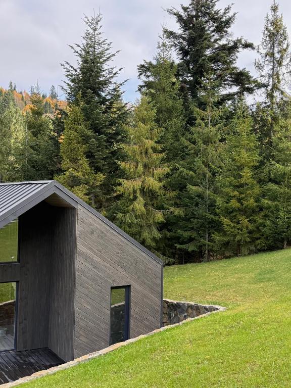 a house with a black garage in a field at Cottages Shepit Lisu New in Myta