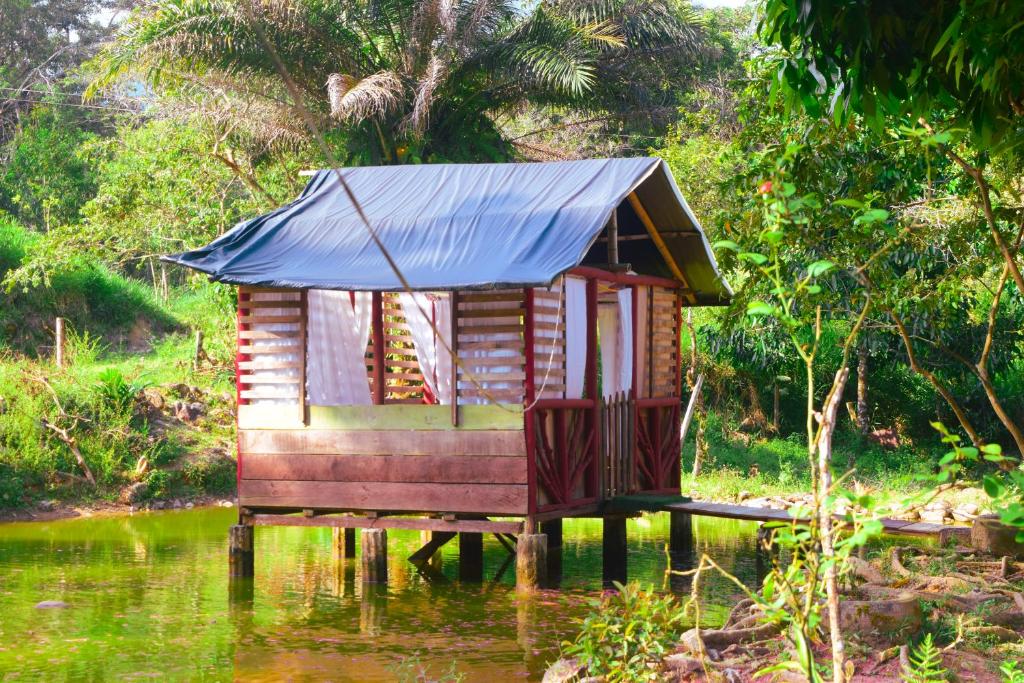 Naturlandskabet i nærheden af pensionatet