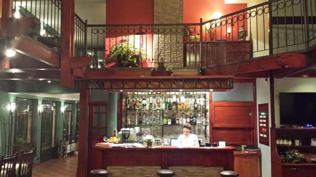 Lounge nebo bar v ubytování Hotel Topcider