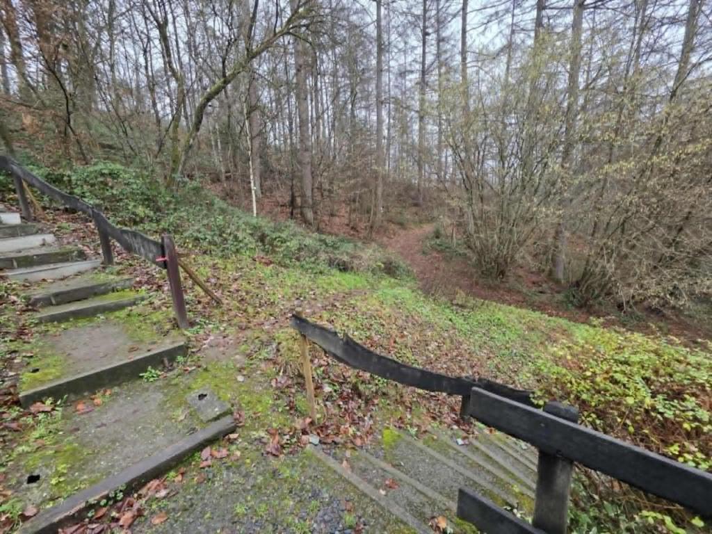 een trap op een pad in het bos bij La Mésange Apprivoisée in Membre