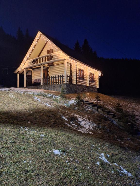 een huis op een heuvel 's nachts bij Лісовий котедж in Synevyrsʼka Polyana