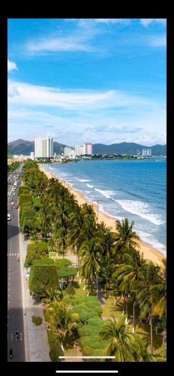 a view of a beach with palm trees and the ocean at Violet hotel&spa in Nha Trang