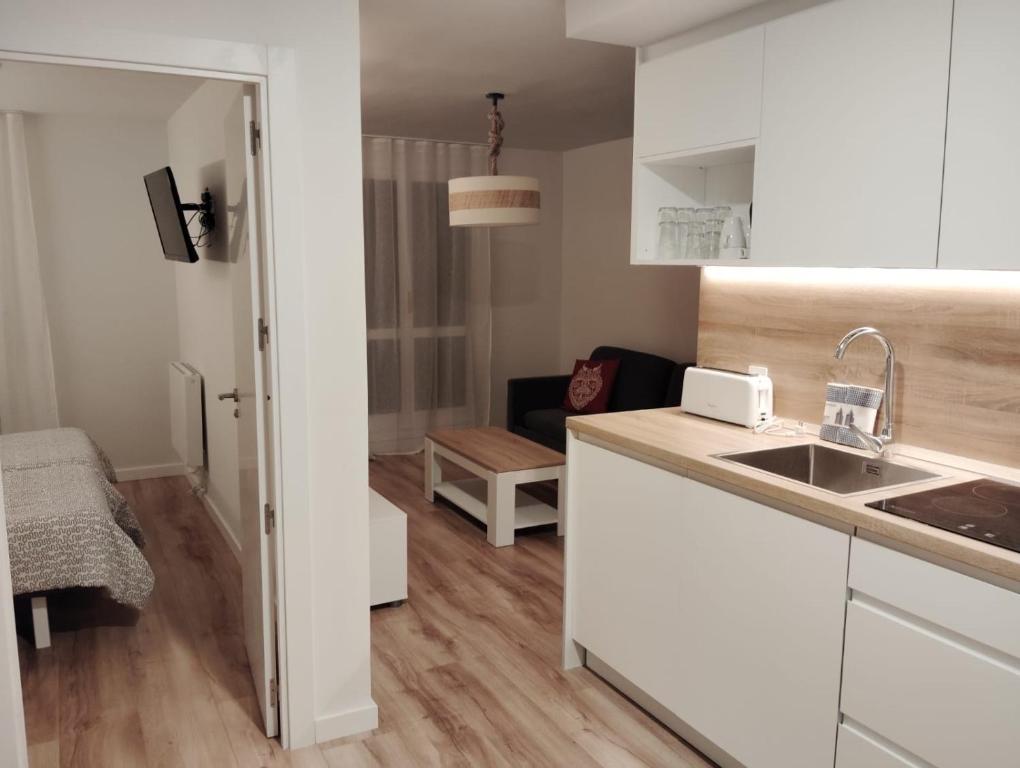 een keuken met een spoelbak en een aanrechtblad bij Apartamentos Pirineos Rent in Candanchú