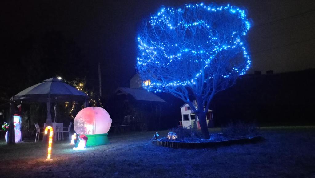 un albero con le luci blu sopra la notte di Pokoje Aleksander a Szczyrk