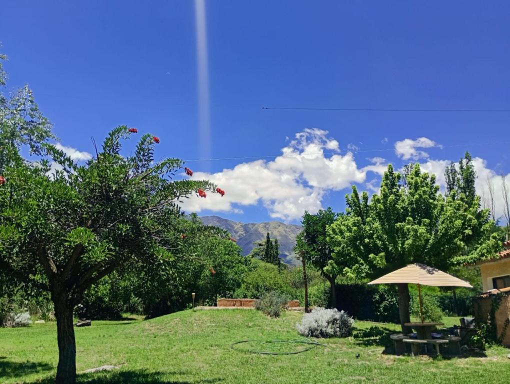 Billede fra billedgalleriet på Casa Los Naranjos i La Paz