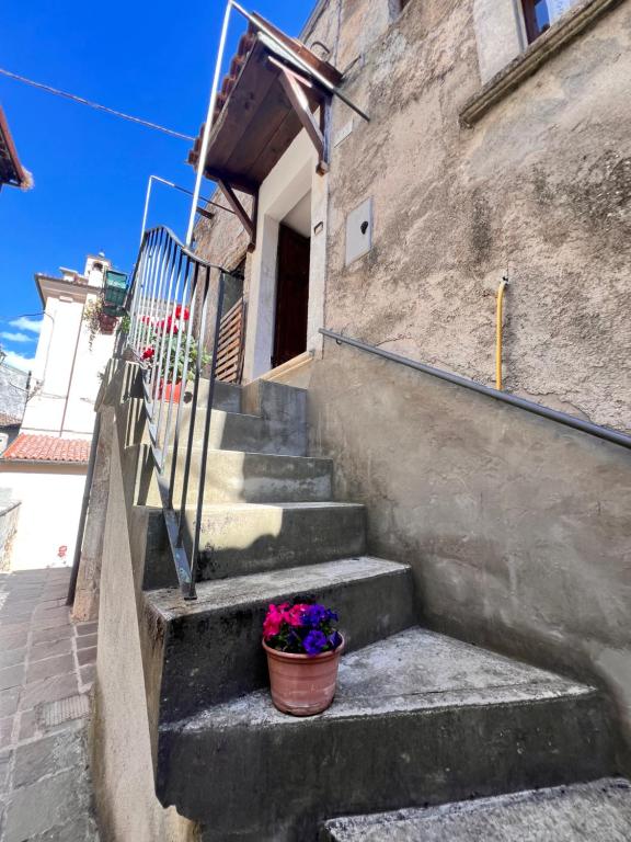 Billede fra billedgalleriet på La casa di Nonna Carissima i Villalago