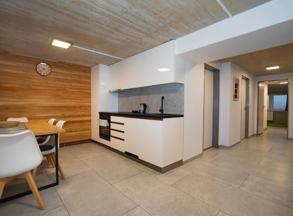 een keuken met een spoelbak en een tafel met stoelen bij Apartment Brno-Lesná 