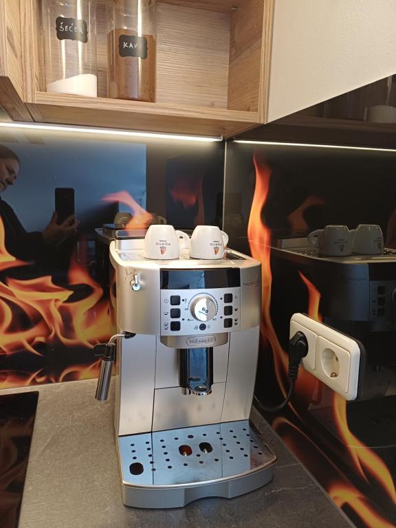 Kuchyň nebo kuchyňský kout v ubytování Kuća za 10 osoba s jacuzzijem i biljarom Mrkopalj