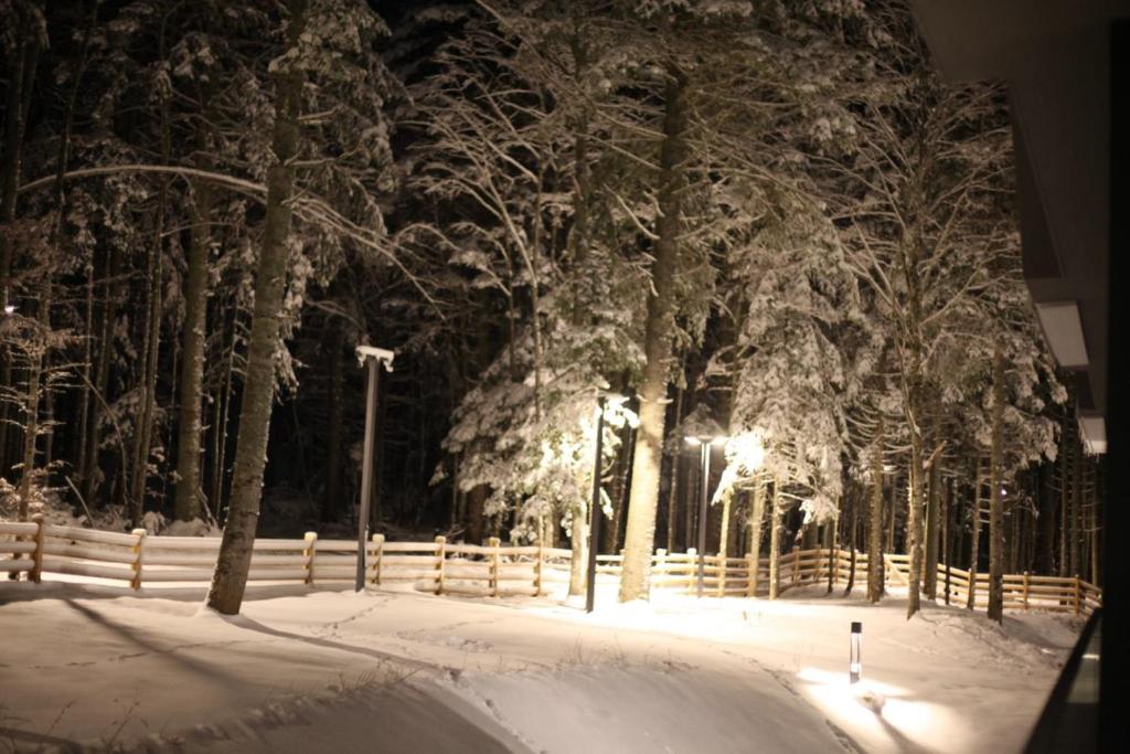 Apartman Yellow Bjelasnica om vinteren