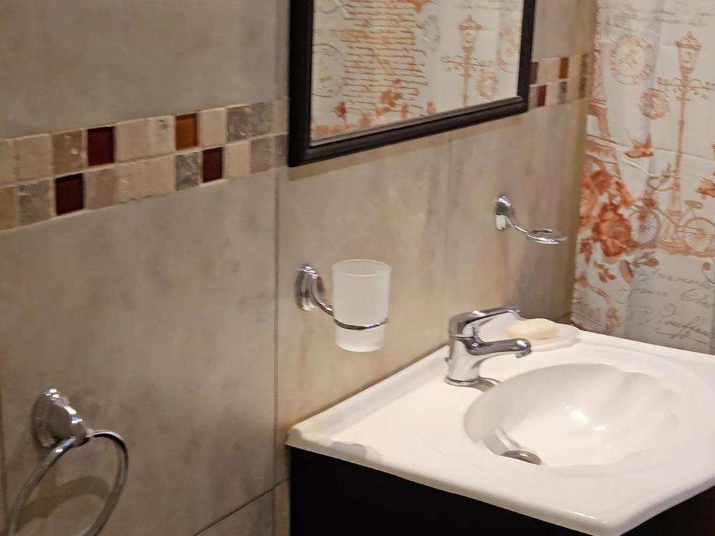 een badkamer met een witte wastafel en een spiegel bij Edificio-Pellegrini PA in Bragado