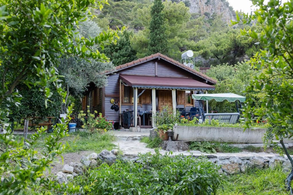 Naturlandskabet i nærheden af feriehuset