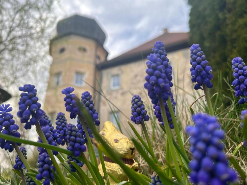 un bouquet de fleurs violettes devant un bâtiment dans l'établissement Schloss1611 B&B, à Erbendorf