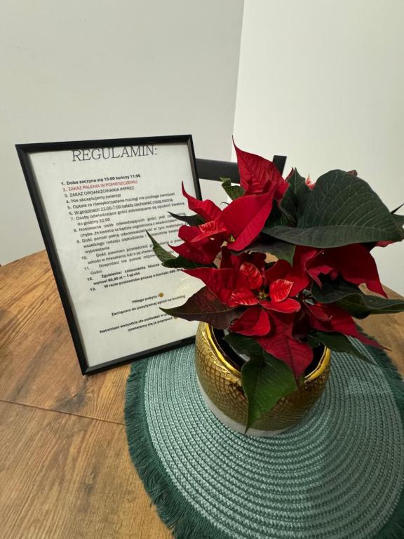 a vase with red flowers on a table next to a sign at Apartament Green Powiśle in Kwidzyn