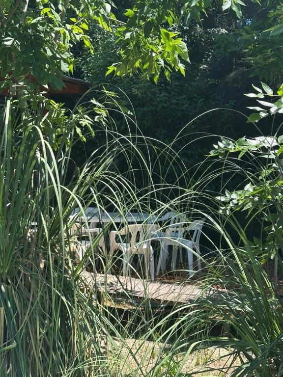 Container La Rosalia