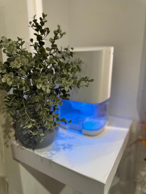 Studio Design à Mulhouse – photo 13