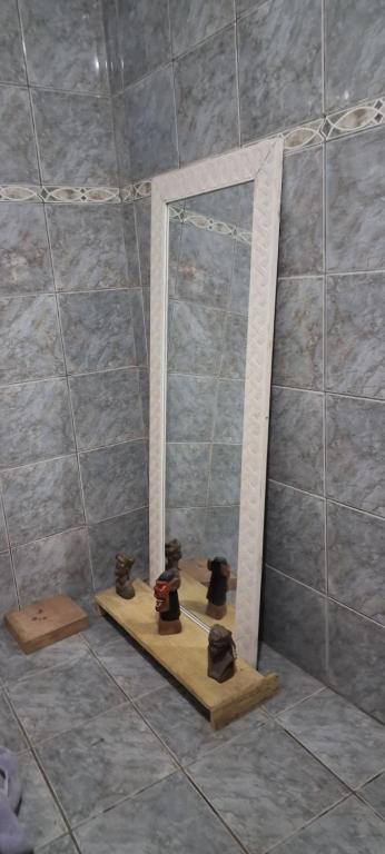 een spiegel in een douche met drie katten op een plankje bij Pousada Renovo Beija-flor Espaço Terapêutico in Bertioga