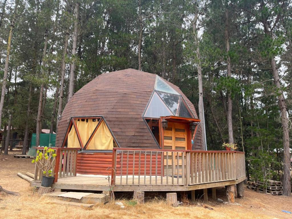 Naturlandskabet i nærheden af lejligheden