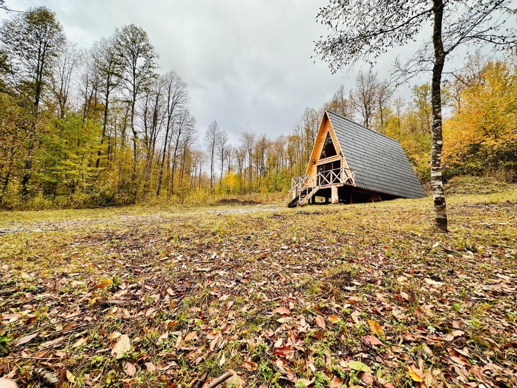 een schuur midden in een veld met bladeren bij Araucaria Lodge Cabaña Alpina cerca del Parque Conguillío in Curacautín